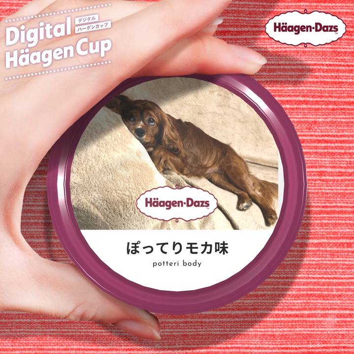 0c72f57b fb4e 4cac 9b1a 4dbee00527a3 1607527269667