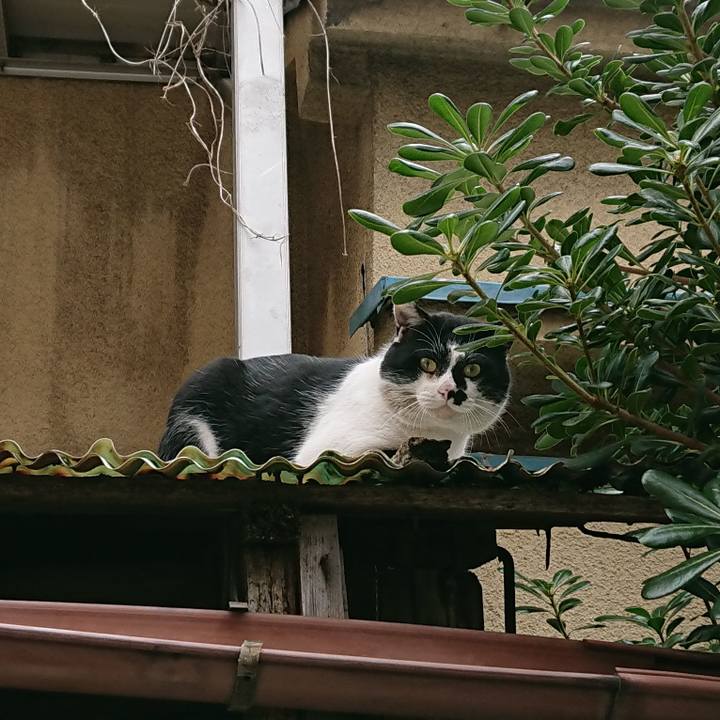 0c72fdbe ca86 4abf b00b 55516a025694 1551151300882