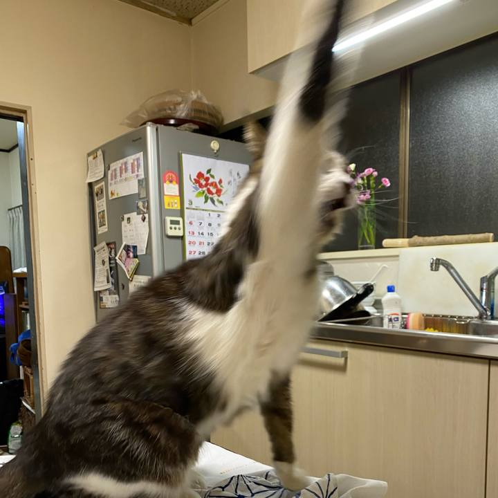 0c735964 8e26 480b 980d d232a63b84ad 1647616917713