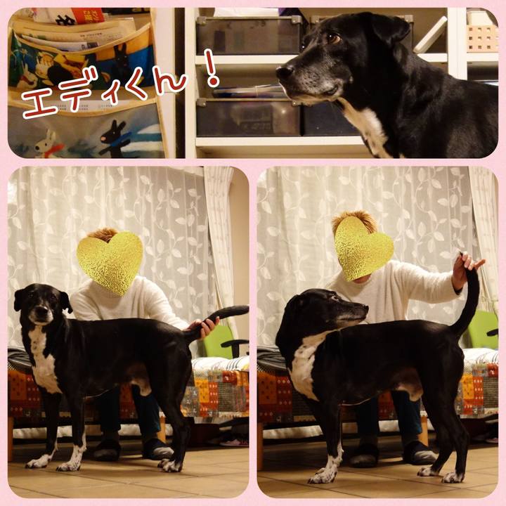 0c73bd69 c20e 48e7 8e9c 27e85904674b 1732014145266