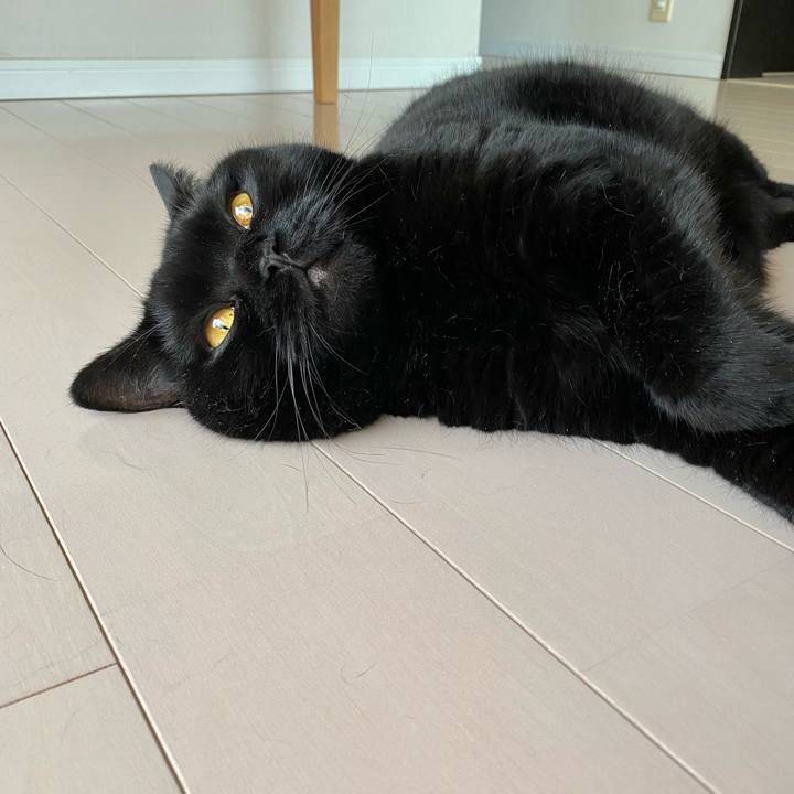 0c73be97 5871 4e12 ab0a a55e142a52af 1689503586224