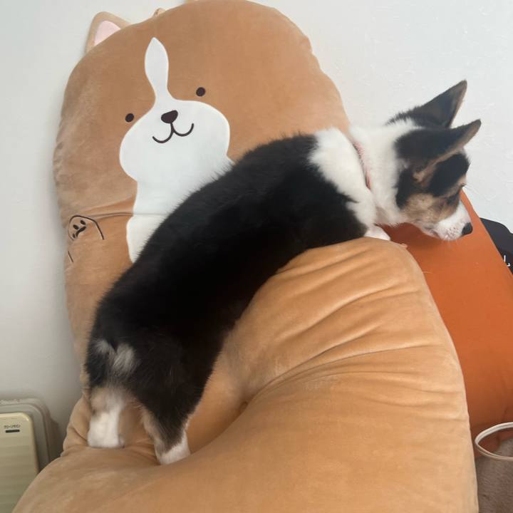 0c741ed4 d7db 420c a3fc 8d1fe396f821 1770341173627