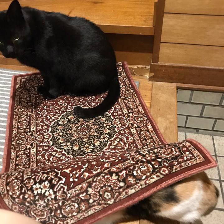 0c7440f6 baa4 472a bd6a 1dda7745b31a 1511141282873