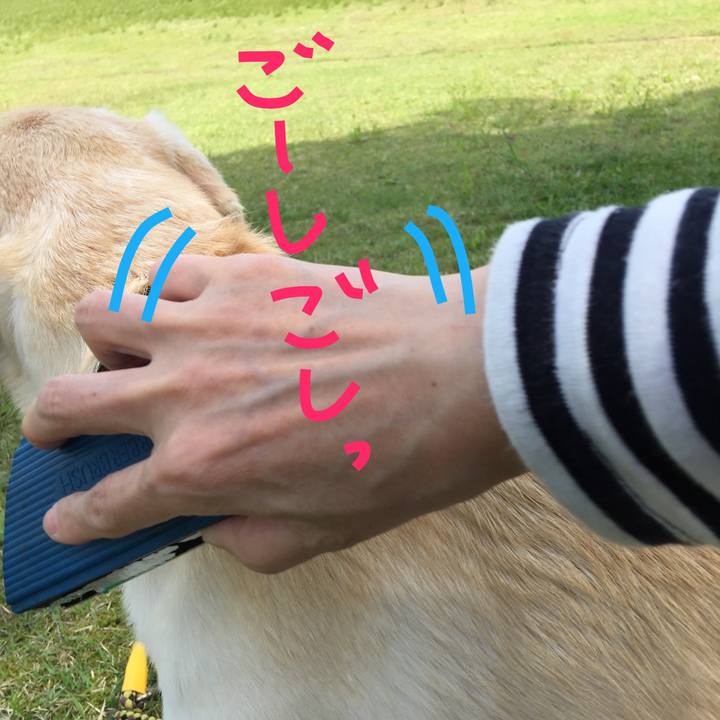 0c7441cc 499a 4aff 8623 6fc3fa47a851 1526434524766