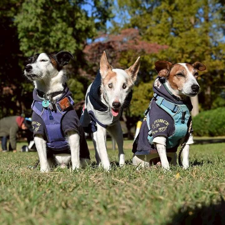 0c746b78 e2ce 43ff ba9c 95174b94a86d 1762174795070