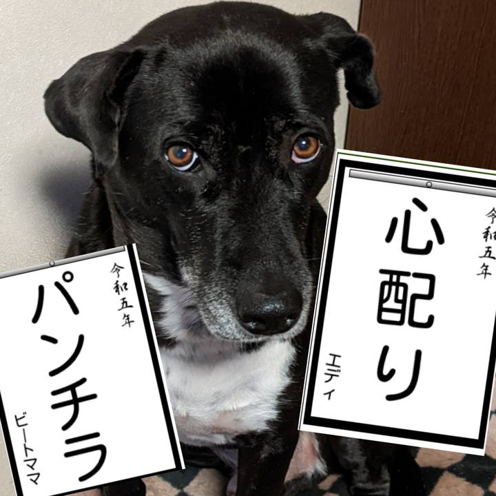 0c746da4 3eec 443f b84f 14b42170aa86 1672656150353