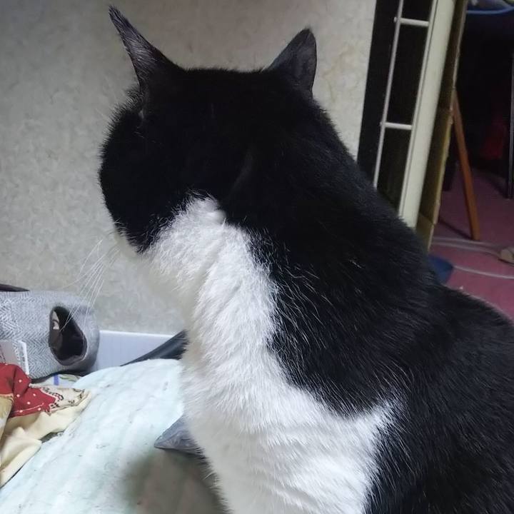 0c747634 8236 4177 a516 19837e68ca15 1560979956500