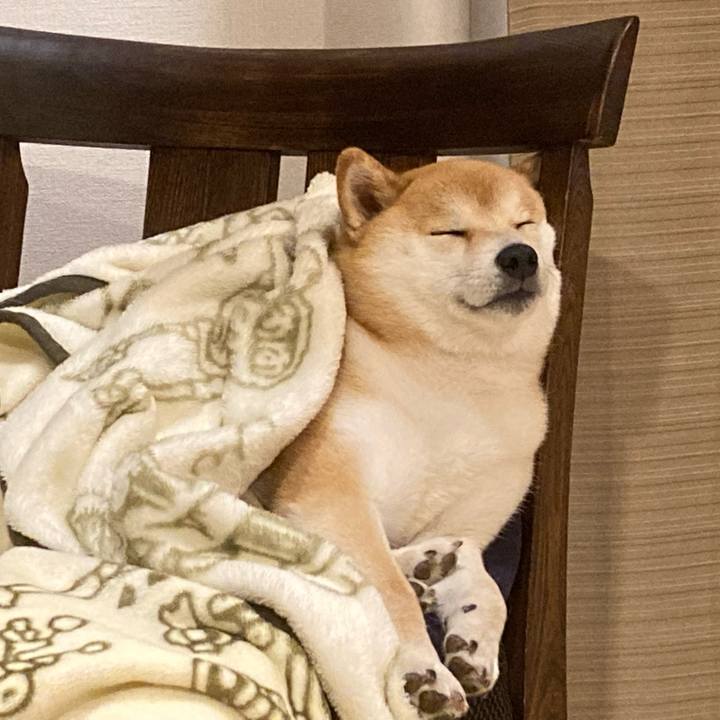 0c74777c ba70 4a87 9297 8c5d29e8d54c 1652007165719