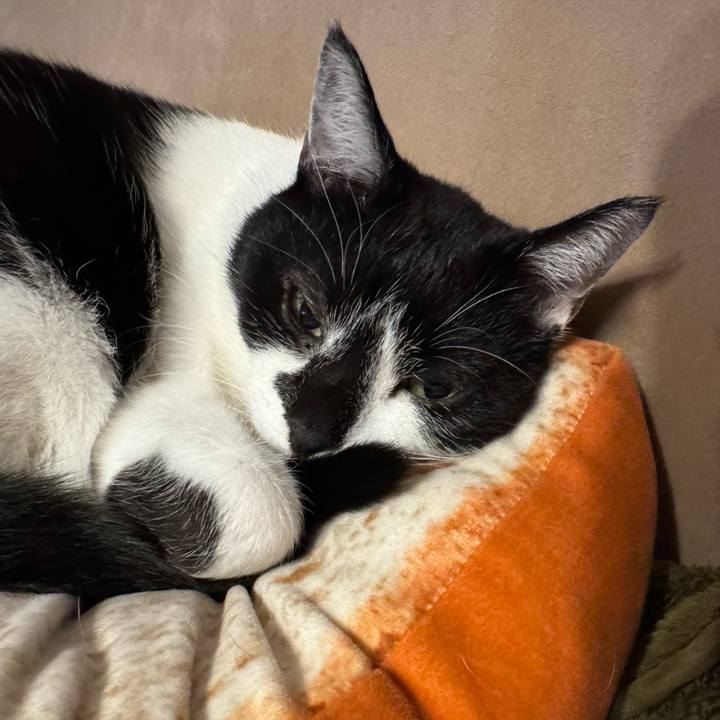 0c74826b 292a 440c 9e81 647e955d3381 1771382187681