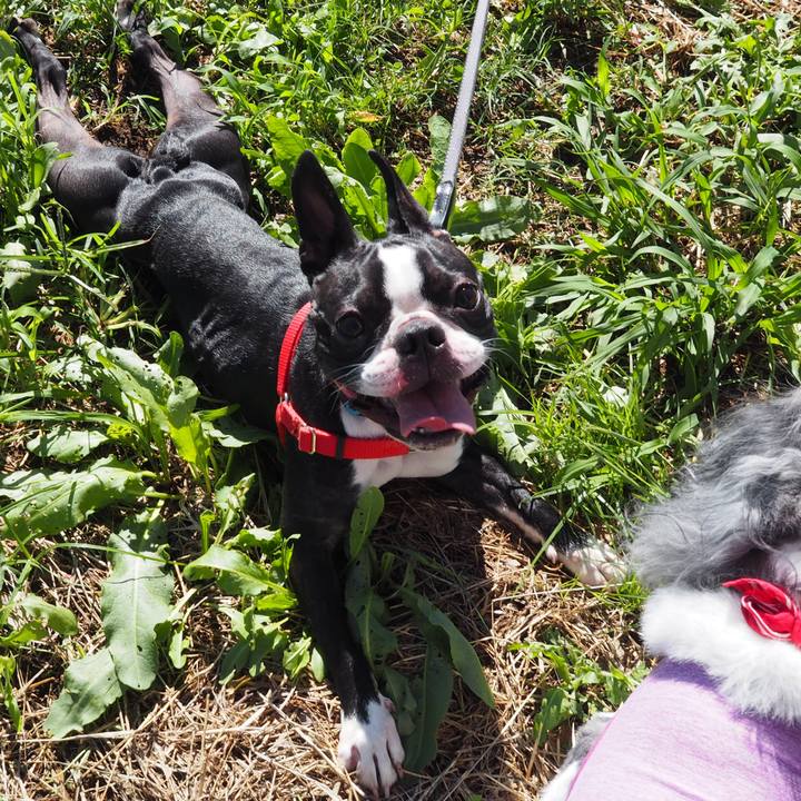 0c74955c c020 4f95 982c 2e5c5deaa903 1571021756456