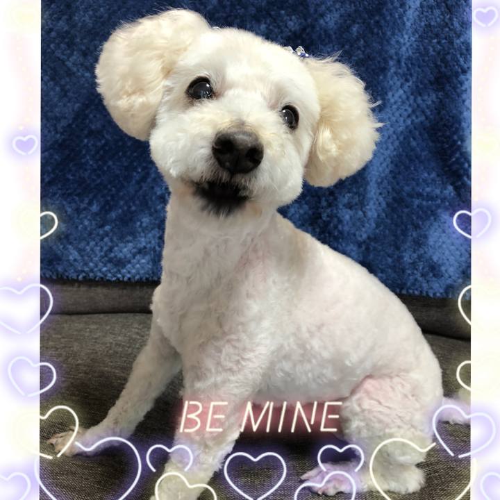 0c74bc66 bd79 47f5 9750 63dea6df4d44 1529619757770