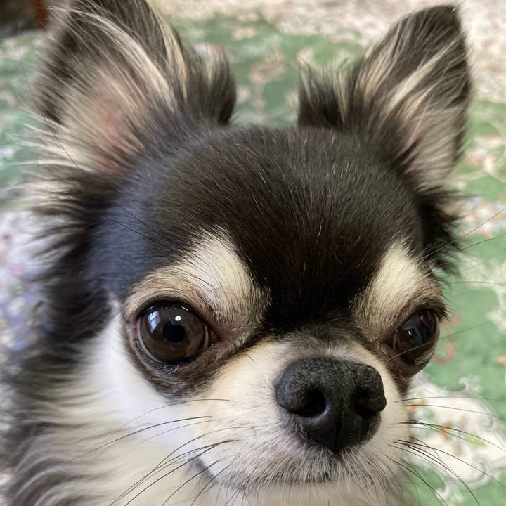 0c74c232 4812 48f8 a808 13f3843ba1b4 1656250959833