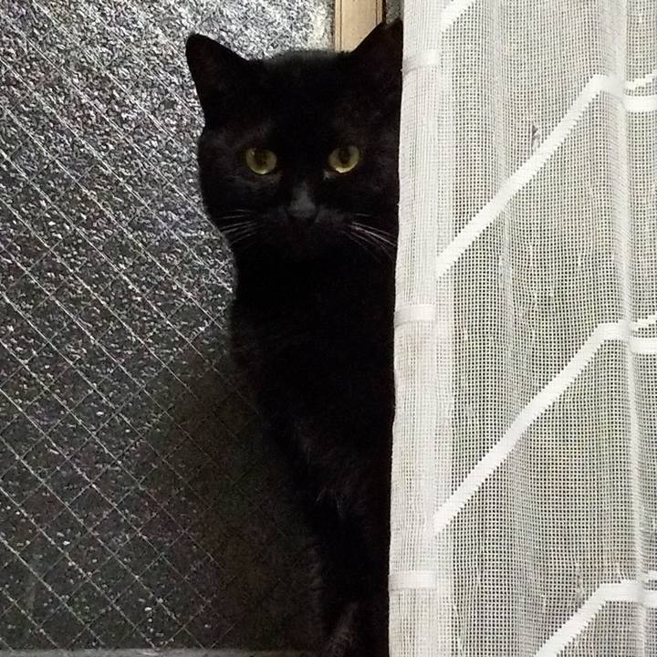 0c74ed1a 3b08 4a9b b82b 4fe4f5e174c9 1607902960955