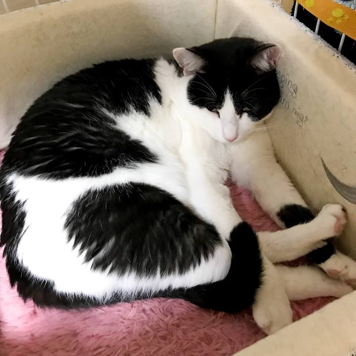 0c74fb26 d776 419a 995e c49674e9b420 1516677256145