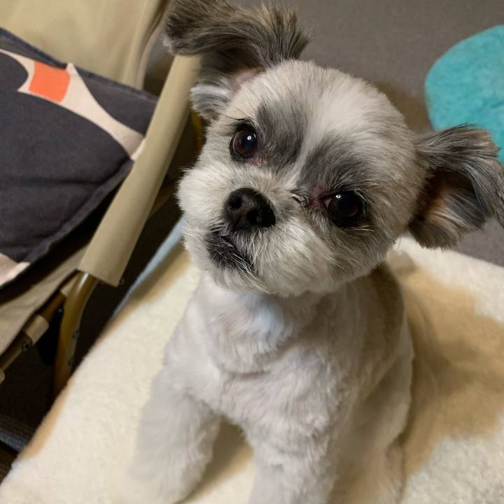 0c75110a 32bf 4be7 a2e3 d68013b02a7a 1604485622660