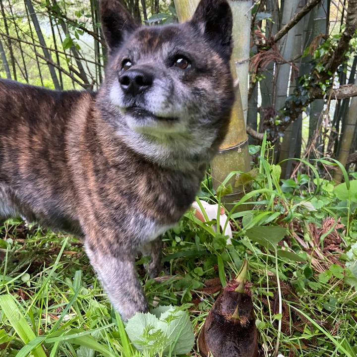 0c755927 5d85 4481 b211 36d48d2b50ca 1619994377291