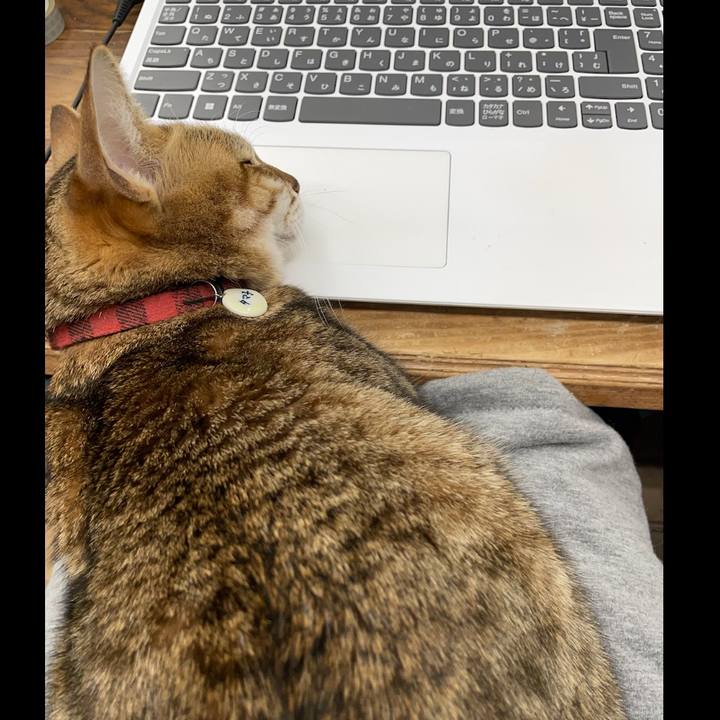 0c756b6c b927 4172 ac04 371c01eb53b9 1706528681428