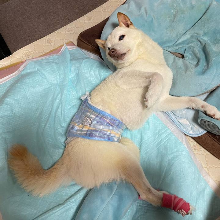 0c757906 e3ea 42e3 8d87 0b597fe6657b 1662541205263