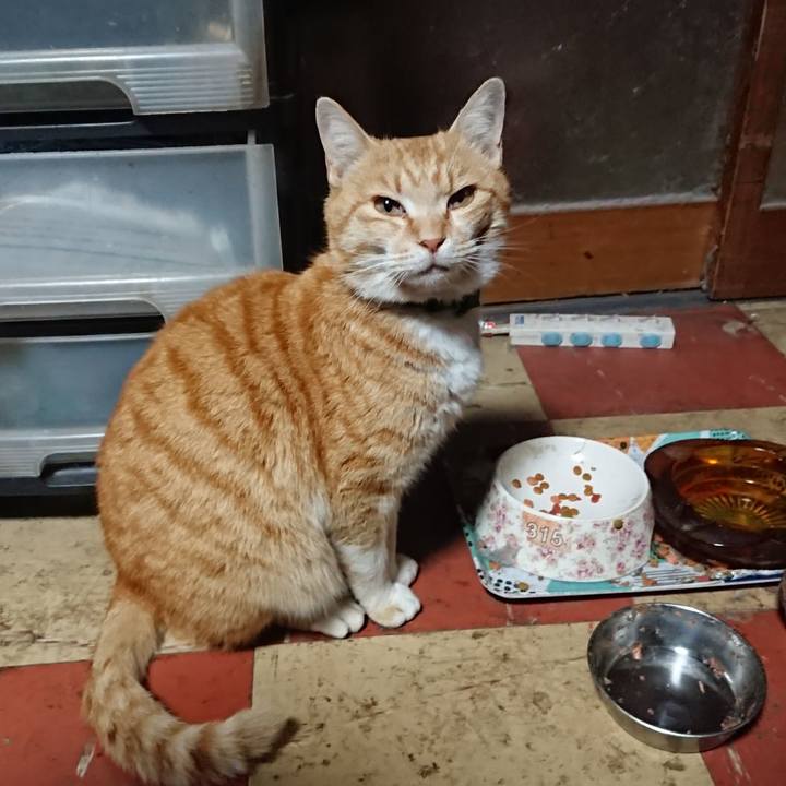 0c759673 3b60 403a a990 d452ee77808f 1585770935868