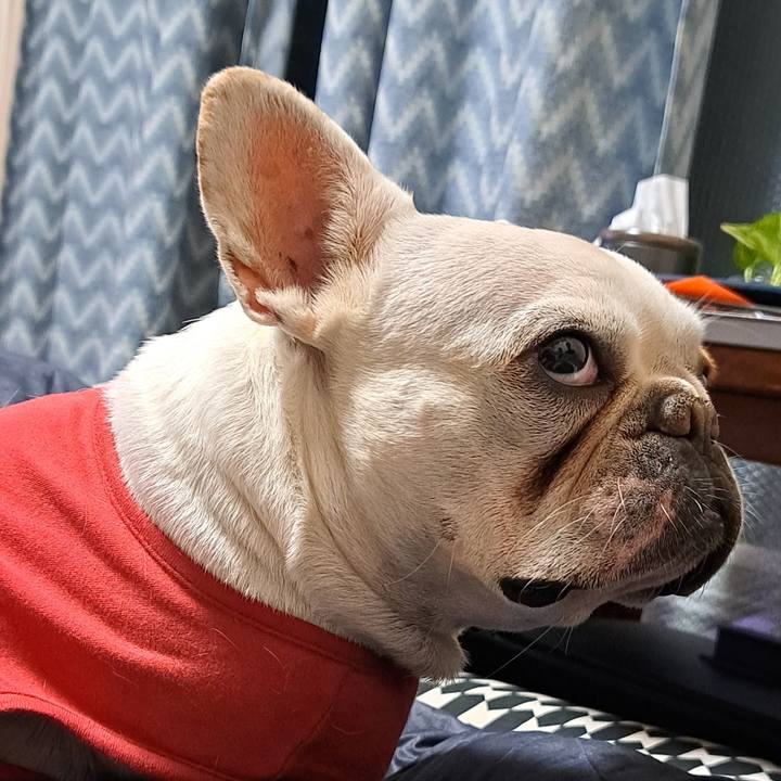 0c759a07 9f4d 4315 bea0 37258bed9978 1702026403188