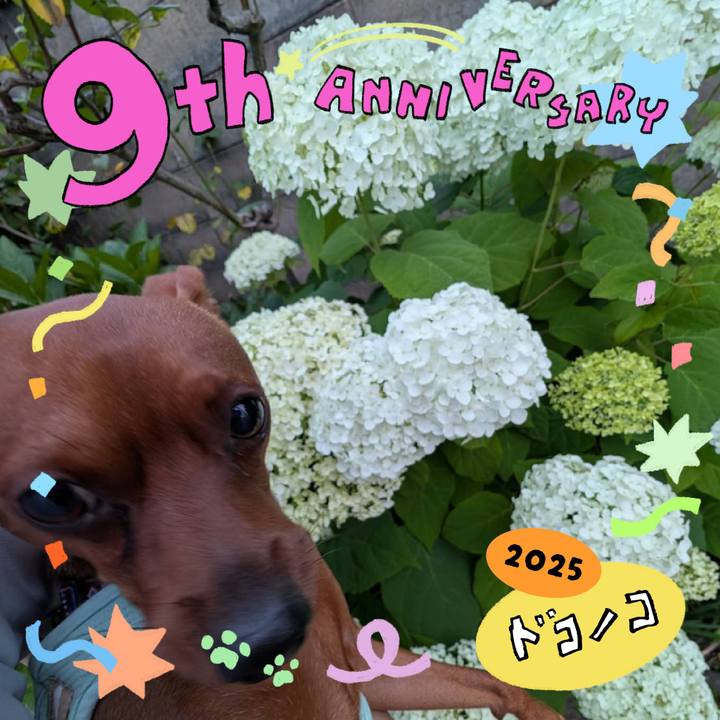 0c75b87c a931 4975 b9f6 56ac5764ef75 1749310527864