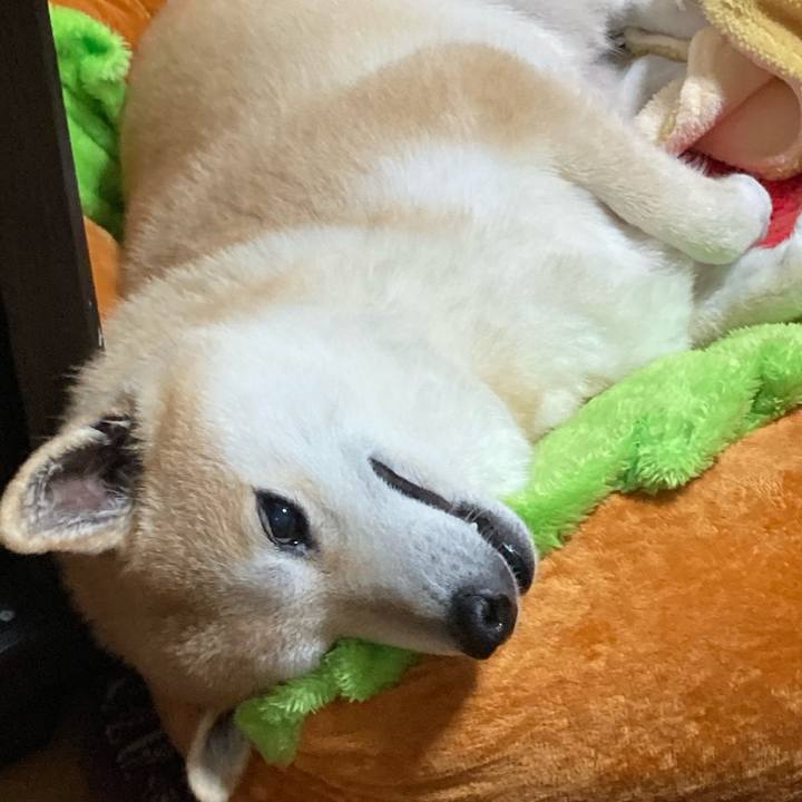 0c75d13d dd25 4aee 87ed 2b5b9868120d 1615290388723