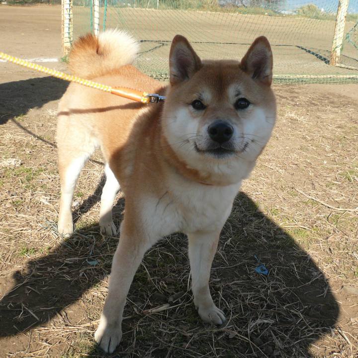 0c762dfd 0433 4f6d 9c82 56fbec3b576f 1614322215533