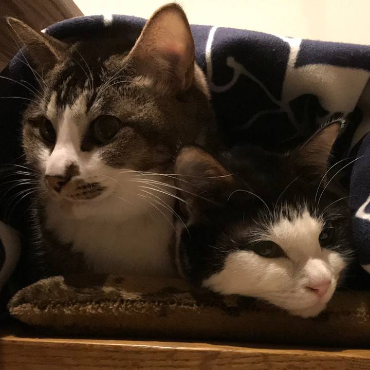 0c764a89 2466 4afc ac15 e47f71f9ae66 1550409997195