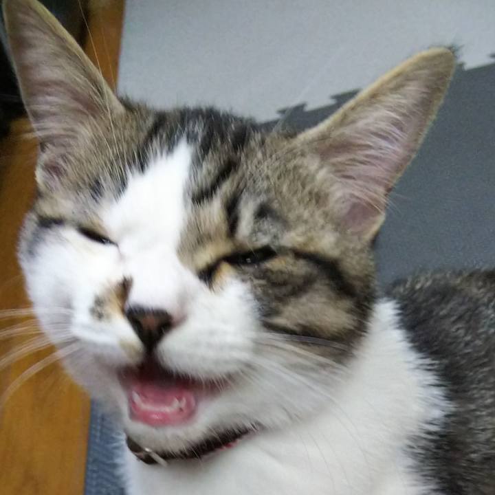 0c76dfff 7657 44d0 a0ad 57e6257513a2 1612689907286