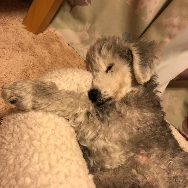 0c76ee59 eeec 479f a264 4498590dfdc7 1606578361152