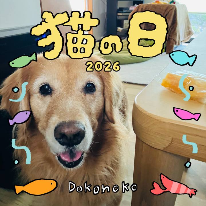 0c76f7ca f64b 40f1 9ce5 6443a578b86e 1771763200997