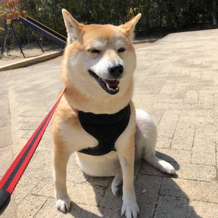 0c76f993 0af3 4f92 a92b eb1239e1bab9 1554871750581