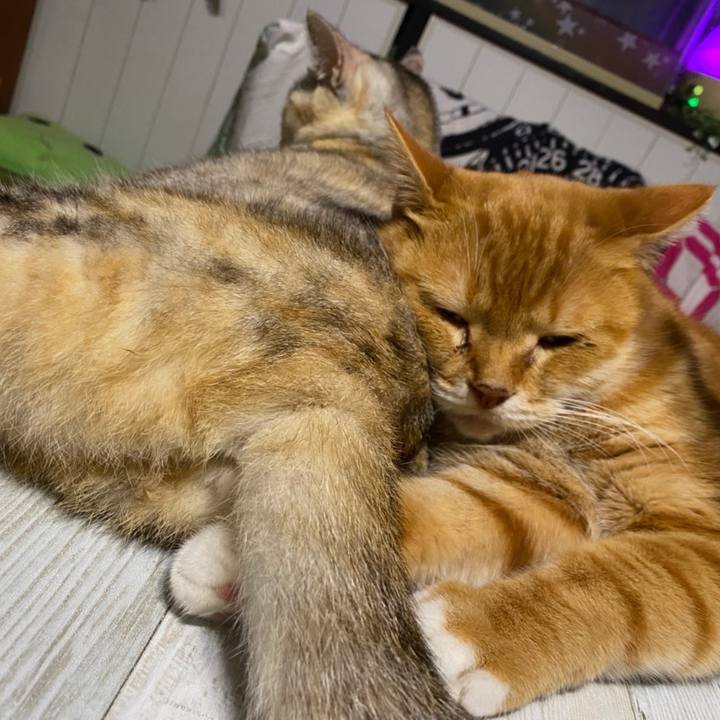 0c771f7a af6e 476a 889e cf77229fea5b 1608150457082