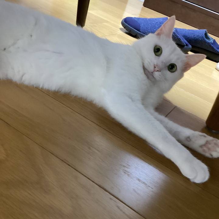 0c772e61 86c8 40b0 9490 85f0fdbea91f 1667093535459