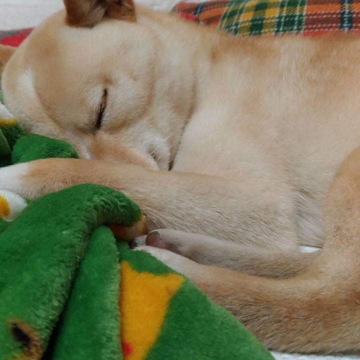 0c77492c 071f 4cd2 8edd 0b48dbdac5c8 1518951431184