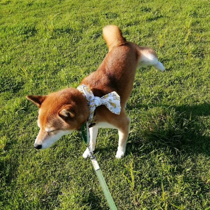 0c775543 41f7 450c 99a7 d426b114a17c 1630310166499