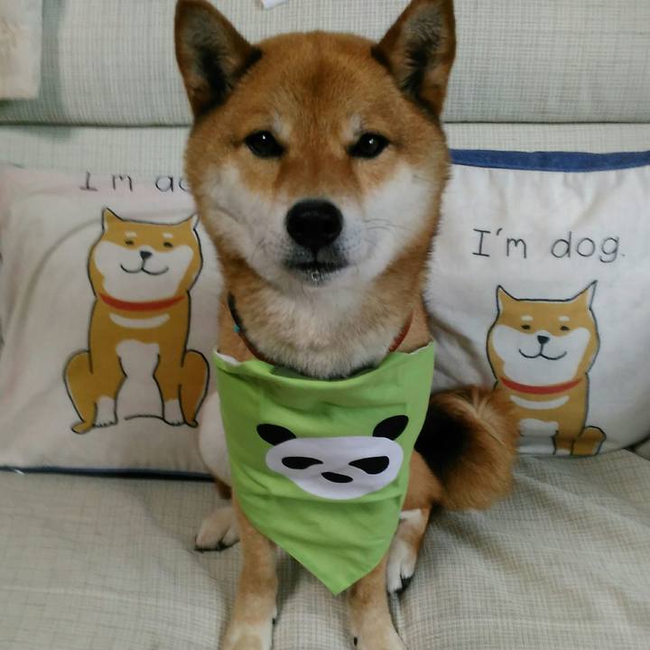 0c776b52 8f88 492c 87d2 5b83910c0441 1528767051913