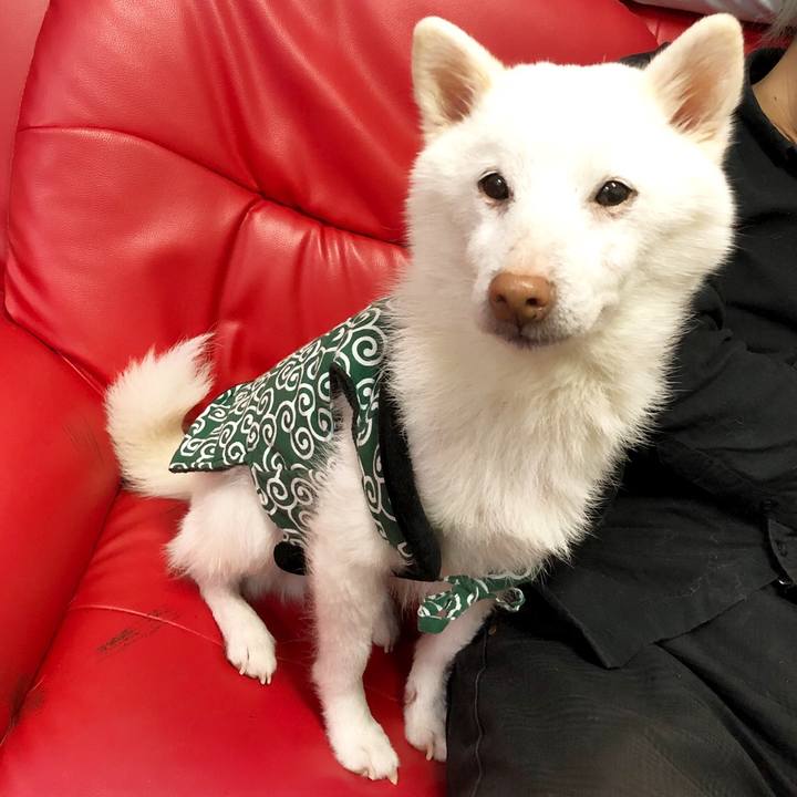 0c778d9c aa05 4282 b96c dadb9af9cea4 1546333972527