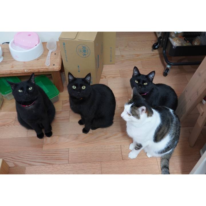 0c778e4e 3cde 4204 9735 30e936169e68 1602593099139