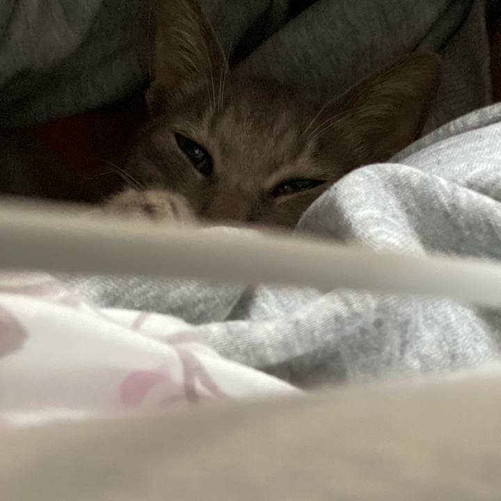 0c77d2ac 113e 4739 855c 130a11d5701f 1581820498114