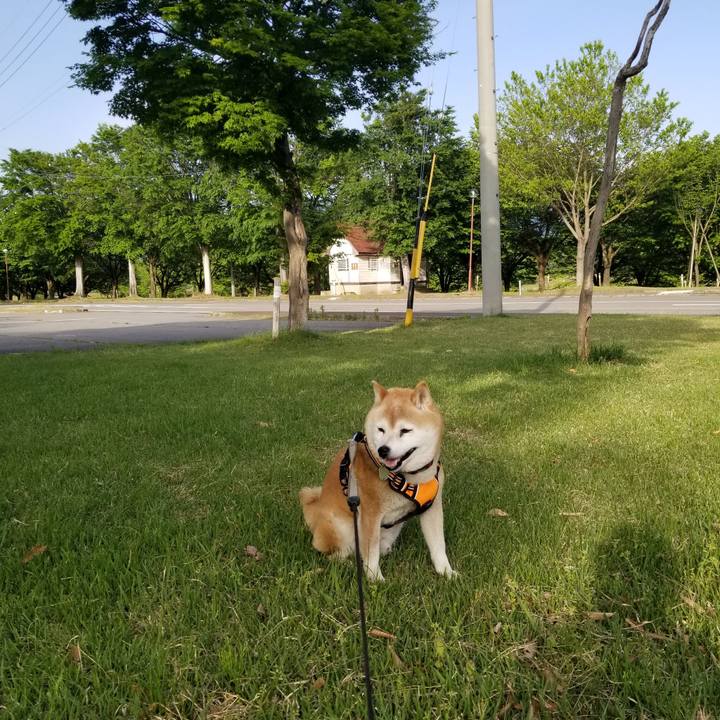 0c77ddeb 04ea 4658 b486 be8aeadd05f7 1715327644017