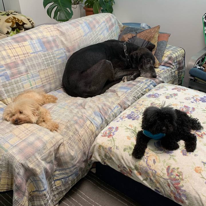 0c77e51a 0a09 4d72 a5d5 ad07ff735c11 1569364077190