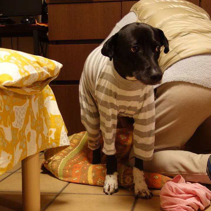 0c77fce2 e22d 49db 85e3 21927b0f730e 1640015230855