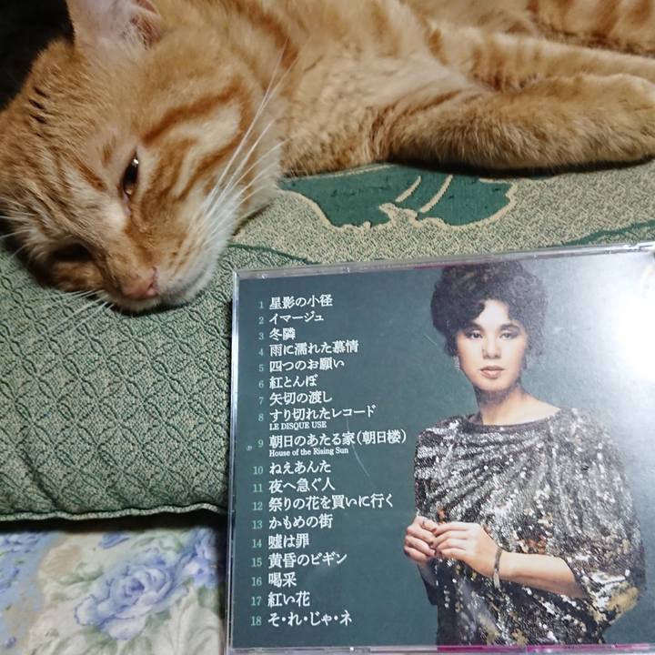 0c77fe14 84bc 4383 9a65 4ba3c03f1ba0 1656850677738