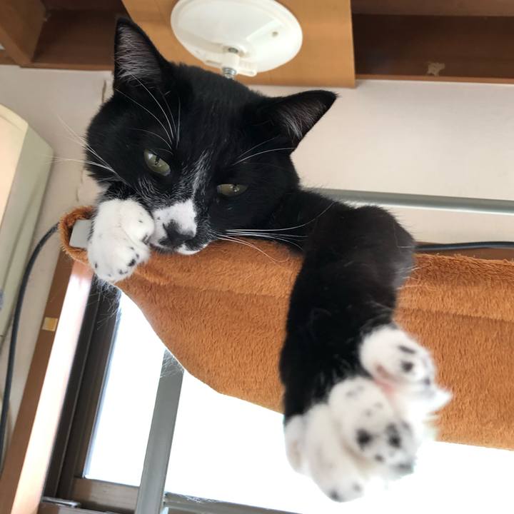 0c7812ec 0253 4827 8196 b3b684f20bec 1568173803236