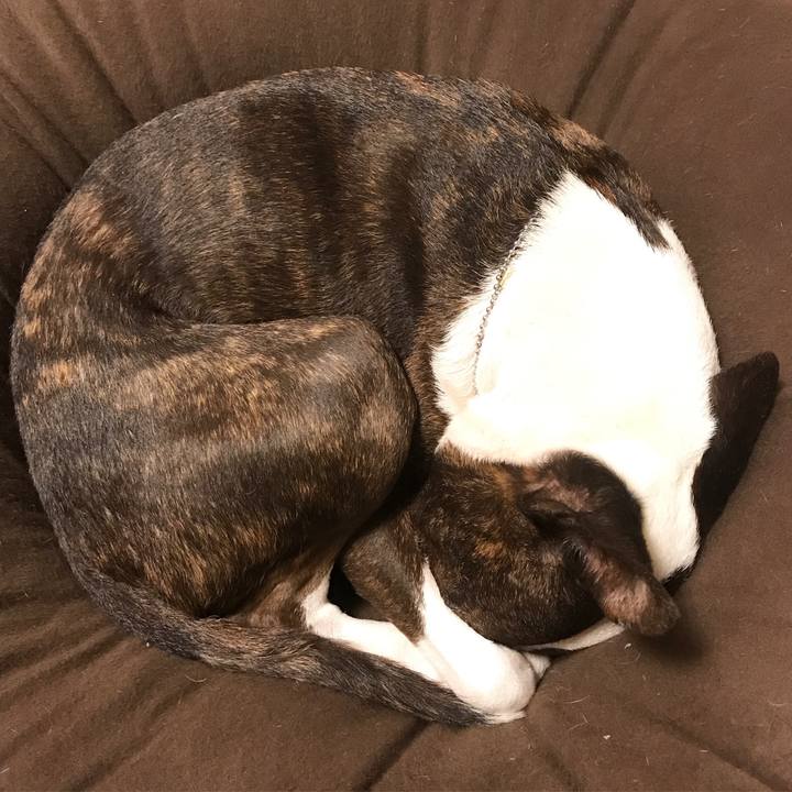 0c784530 6bba 4fda a1a9 6560fd606d20 1511946503591