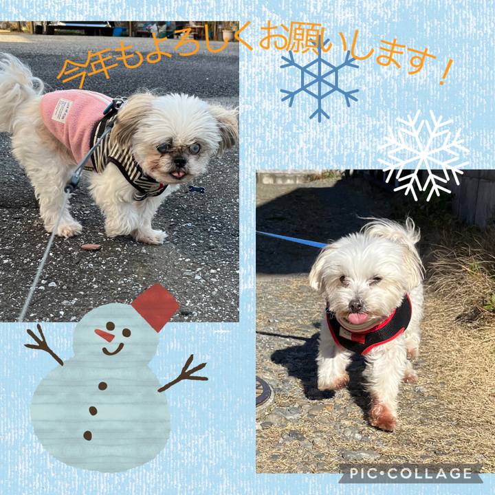 0c785e97 8a3d 46f6 b902 6a692b3437ca 1735713253469