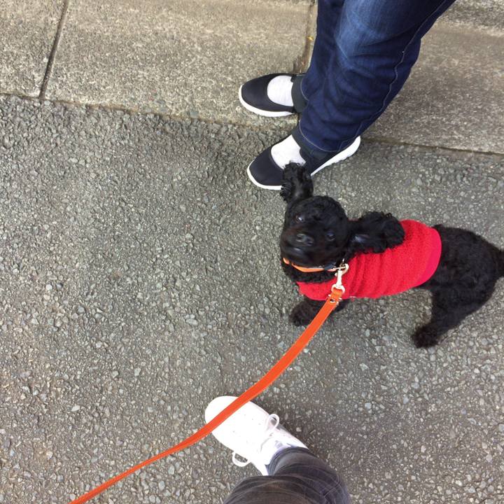 0c7863ac be2e 427b 9f7d 081f0fa0a2a0 1514096840981