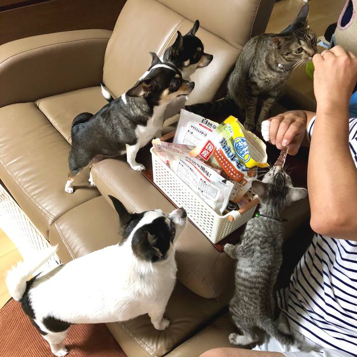 0c7875dc 9670 4b02 bafc 8f78aa7b1612 1532177317283