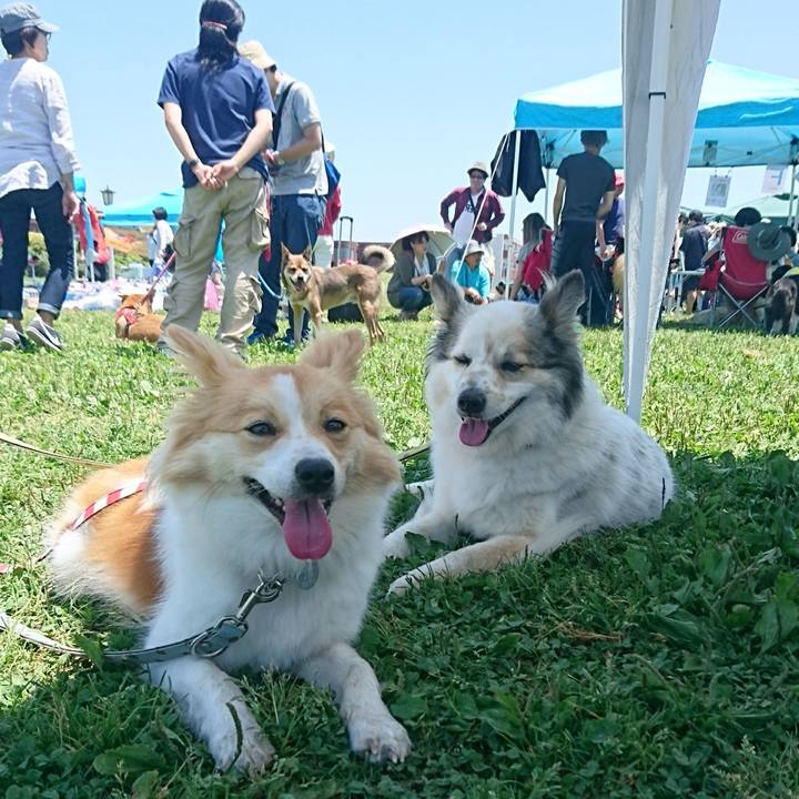 0c787cae f4f0 4acd b657 4a26efb1ffdc 1528023835967